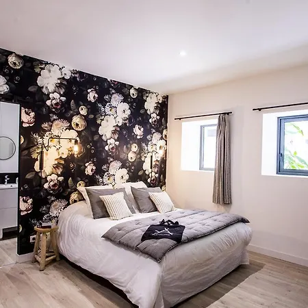 Bed & Breakfast Antichambre Nimes